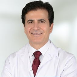Prof. Dr. Mehmet Demir