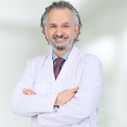 Prof. Dr. Mehmet Numan Alp