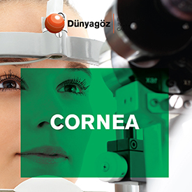 Cornea