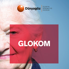 GLOKOM BROŞÜR